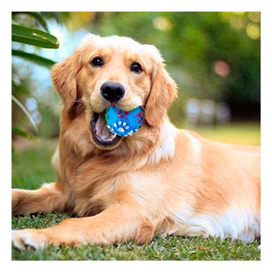 JUGUETE PERROS RYBIU FACIL USO CELESTE EN L + REGALO LIGAS PEINAR