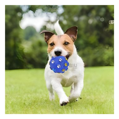 PELOTA MASCOTAS RYBIU EN TAMAÑO AZUL + PAPEL REGALO