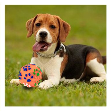 PELOTA PERROS RYBIU PREMIO JUEGO PET NARANJA + PAPEL REGALO