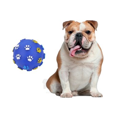 BOLA PERROS RYBIU LIGERA EN AZUL + BANDERITAS ADHESIVAS