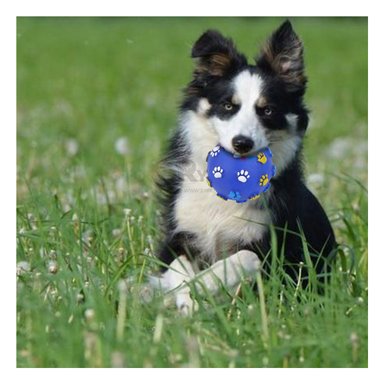 BOLA PERROS RYBIU BONITA Y RESISTENTE AZUL + LIGAS REGALO