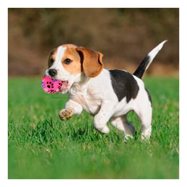 JUGUETE PERROS RYBIU FACIL USO ROSADO EN L + REGALO LIGAS PEINAR