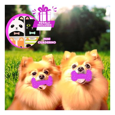 HUESO CHIRRIANTE PARA PERRO COLOR MORADO Y+GIFT MINIAGENDA