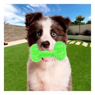 SET PERROS RYBIU CANINO JUGAR VERDE + PAPEL REGALO