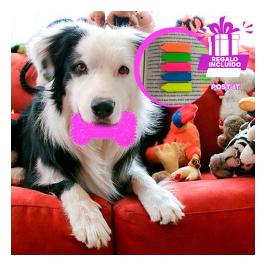 KIT PERROS RYBIU HUESOS FLEXIBLE EN MORADO + BANDERITAS ADHESIVAS