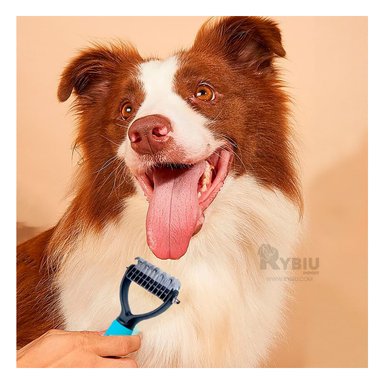 CEPILLO RYBIU MA29854 MODERNO CAN MEDIANO EN CELESTE + PAPEL REGALO