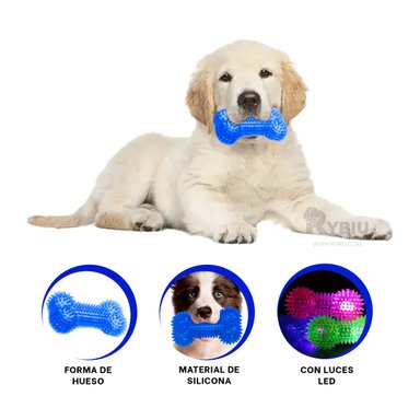 PACK PERROS RYBIU COLORIDO AZUL + ENVOLTORIO REGALO