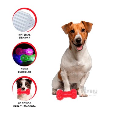 KIT PERROS RYBIU HUESOS LAVABLE ROJO + POST-IT ADHESIVOS