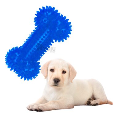 KIT PERROS RYBIU HUESOS LAVABLE AZUL + POST-IT ADHESIVOS