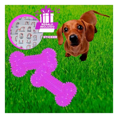 PACK PERROS RYBIU CHIRRIANTE Y DURADERO MORADO + REGALO STICKERS