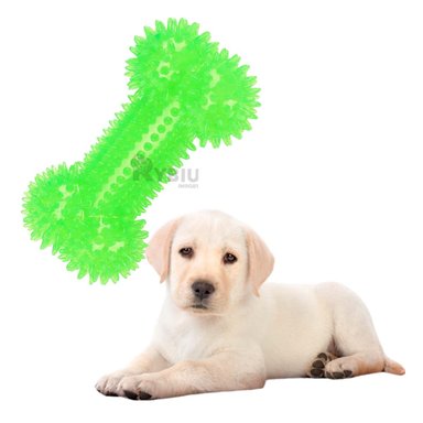 PACK PERROS RYBIU COLORIDO VERDE + ENVOLTORIO REGALO