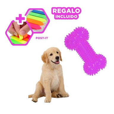 KIT PERROS RYBIU HUESOS LAVABLE MORADO + POST-IT ADHESIVOS