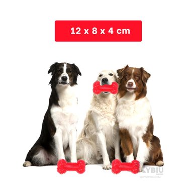 KIT PERROS RYBIU HUESO CHIRRIANTE EN ROJO + REGALO LIGAS PEINAR