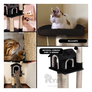 CENTRO ACTIVIDAD GATOS MA31131 RESISTENTE NEGRO + REGALO LIGAS PEINAR RYBIU