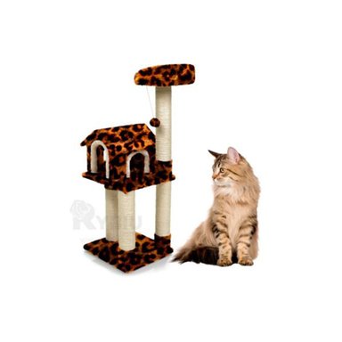 CAMA GATOS MA31125 DURADERO EN ANIMAL PRINT + REGALO LIGAS PEINAR RYBIU - 2