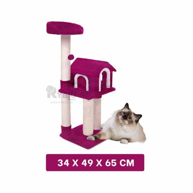 RASCADORA GATOS MA31128 MODERNA FUCSIA + LIGAS REGALO RYBIU