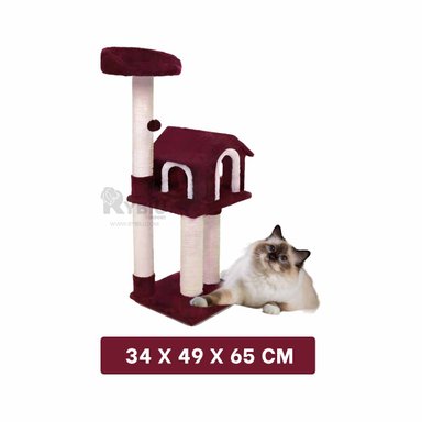 RASCADORA GATOS MA31128 RESISTENTE EN GUINDA + REGALO LIGAS PEINAR RYBIU