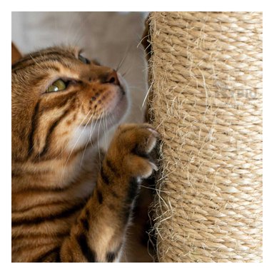 JUEGO DIDÁCTICO GATOS MA31129 TORRE ANTIESTRES MARRON + REGALO STICKERS RYBIU