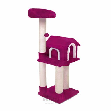 CENTRO ACTIVIDAD GATOS MA31128 ELEGANTE MICHIS FUCSIA + ENVOLTORIO REGALO RYBIU