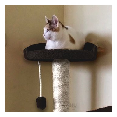 GIMNASIO GATOS MA31131 HOGAR NEGRO + PAPEL REGALO RYBIU