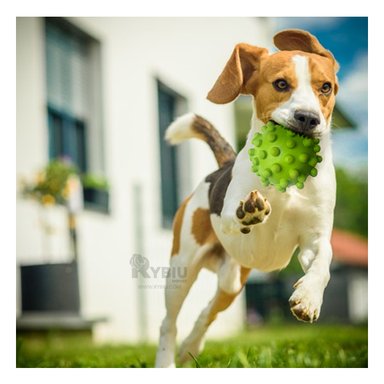 JUGUETE CAUCHO PERROS MA31154 FUNCIONAL VERDE + PAPEL REGALO RYBIU