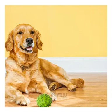 PELOTA CAUCHO PERRO MA31154 VERDE + REGALO STICKERS RYBIU