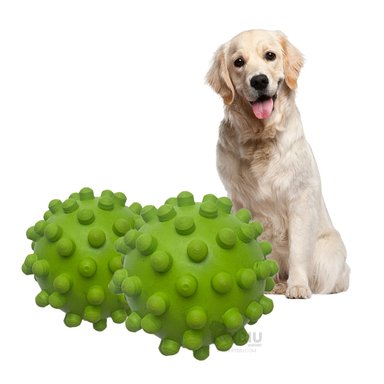 JUGUETE CAUCHO PERROS MA31154 CON DISEÑO CHIRIMOLLA EN VERDE + PAPEL REGALO RYBIU