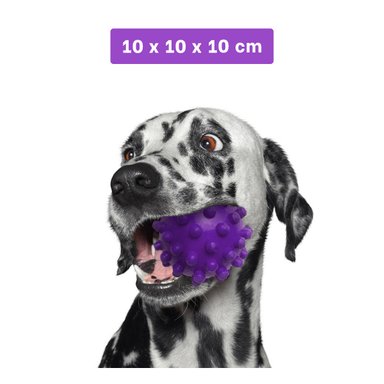 BALÓN CAUCHO PERROS MA31151 EN MORADO + REGALO LIGAS PEINAR RYBIU