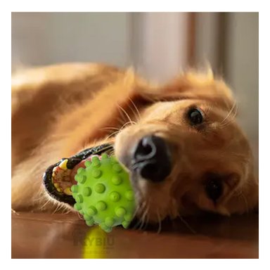 PELOTA CAUCHO PERROS MA31154 JUGUETE VERDE + GIFT MINIAGENDA RYBIU