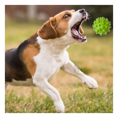 PELOTA CAUCHO PERROS MA31154 MASTICABLE DOG EN VERDE + ENVOLTORIO REGALO RYBIU