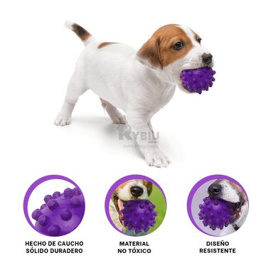PELOTA CAUCHO PERROS MA31151 RESISTENTE JUGAR PET EN MORADO + GIFT STICKERS RYBIU