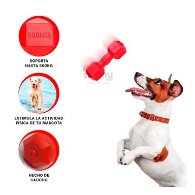 JUEGO CAUCHO PERRO MA31162 ROJO + POST IT ADHESIVOS RYBIU