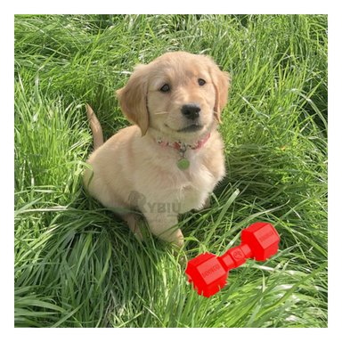 JUGUETE PERROS CAUCHO MA31162 ACCESORIO EJERCICIO EN ROJO + REGALO STICKERS RYBIU