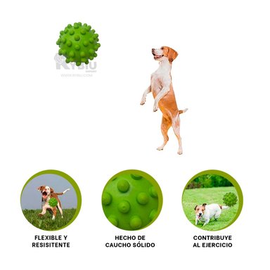 JUEGO CAUCHO PERROS MA31160 MASCOTA VERDE + LIGAS REGALO RYBIU