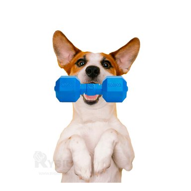 JUGUETE PERROS CAUCHO MA31161 ACCESORIO DINAMICO MASCOTAS AZUL + GIFT MINIAGENDA RYBIU