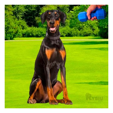 JUGUETE CAUCHO PERROS MA31161 CUIDADO DENTAL AZUL + PAPEL REGALO RYBIU