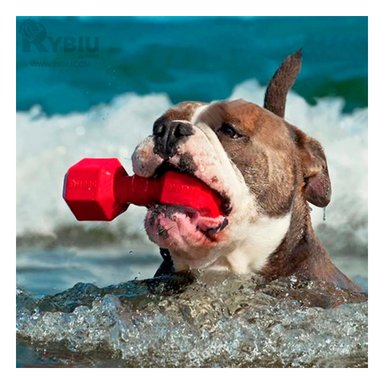 JUGUETE CAUCHO PERROS MA31162 CUIDADO DENTAL ROJO + PAPEL REGALO RYBIU