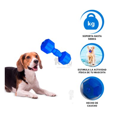 JUEGO CAUCHO PERRO MA31161 AZUL + POST IT ADHESIVOS RYBIU