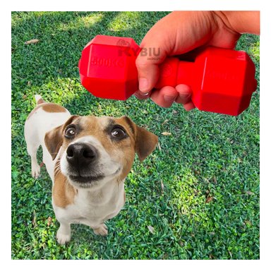 JUGUETE PERROS CAUCHO MA31162 ACCESORIO ROJO + ENVOLTORIO REGALO RYBIU