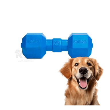 JUGUETE PERROS CAUCHO MA31161 ACCESORIO EJERCICIO EN AZUL + REGALO STICKERS RYBIU