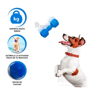 JUGUETE PERROS CAUCHO MA31161 ACCESORIO ENTRETENIDO AMIGOS CANINOS AZUL + GIFT STICKERS RYBIU
