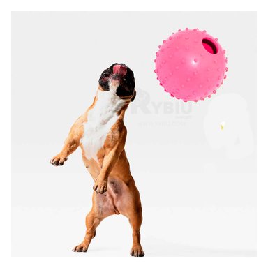 PELOTA CAUCHO PERROS MA31159 RESISTENTE MASCOTA ROSADO + REGALO AGENDITA RYBIU