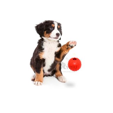 PELOTITA CAUCHO PERROS MA31158 LIGERA Y DURADERA EN ROJO + POST IT ADHESIVOS RYBIU