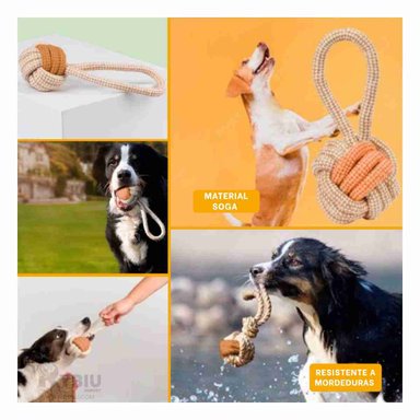 SOGA PERROS MA31169 ENTRENAMIENTO UTIL MOSTAZA + REGALO STICKERS RYBIU