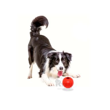 PELOTA CAUCHO PERRO MA31158 RESISTENTE ROJO + REGALO AGENDITA RYBIU