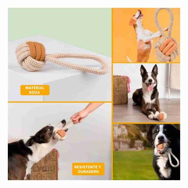 SOGA PERROS MA31169 MODERNA JUEGO EN MOSTAZA + ENVOLTORIO REGALO RYBIU