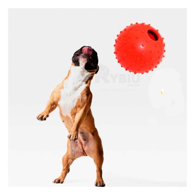 PELOTITA CAUCHO PERROS MA31158 EFICAZ Y VERSATIL EN ROJO + BANDERITAS ADHESIVAS RYBIU