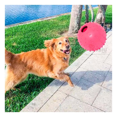 PELOTA CAUCHO PERRO MA31159 MASTICABLE ROSADO + ENVOLTORIO REGALO RYBIU