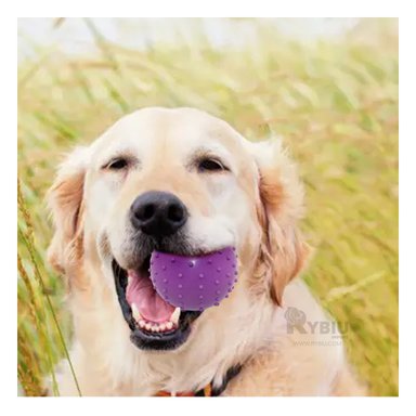 JUGUETE CAUCHO PERROS MA31157 FUNCIONAL MORADO + PAPEL REGALO RYBIU