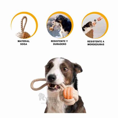 CUERDA PERROS MA31169 JUEGO MOSTAZA + REGALO LIGAS PEINAR RYBIU